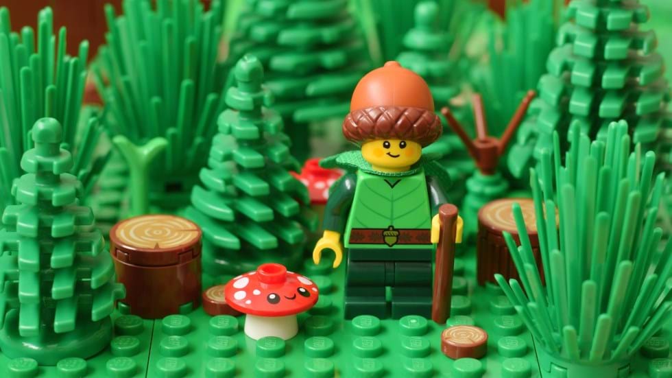 LEGO Eco Friedly